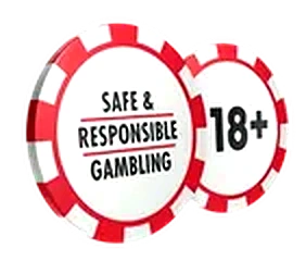 Safe and Responsible Gambling 18+